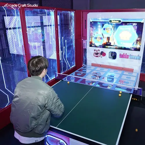 Table Tennis Simulator AR Ping Pong Game Arcade